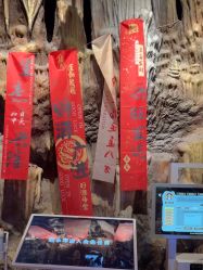 -探洞工场(丰科万达旗舰店)