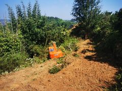 -小八仙·宴(三峡茶庄店)