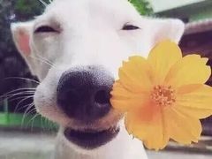 -海底捞火锅(万象城店)