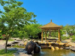 -大连蚂蚁岛度假区