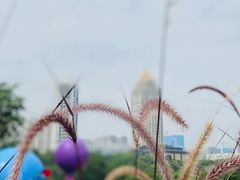 -深圳龙潭公园