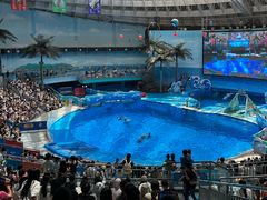 -海合安成都极地海洋公园