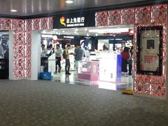 -上海浦东国际机场-T2航站楼