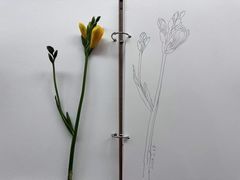 -八哥美术·成人美术画室(总校区)