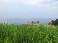 -养马岛旅游度假区