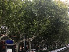 -黑皮酸菜鱼(绣花巷店)