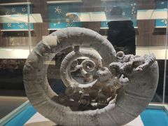 -青岛贝壳博物馆