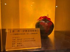-泸州老窖景区
