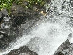-石台牯牛降景区