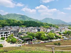 -龙坞茶村