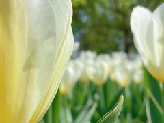 -长春公园(普阳街道)