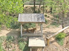 -石家庄市动物园