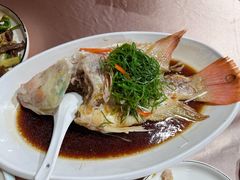 -鲤鱼塘农家山庄