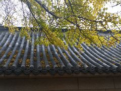 -青岛崂山太清宫