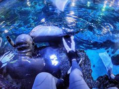 -成都浩海立方海洋公园