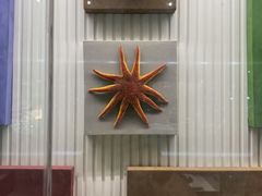 -青岛贝壳博物馆