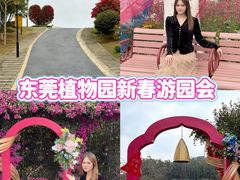 -东莞植物园