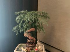 -大拙里·精致融合菜(沙湖桃源国际店)