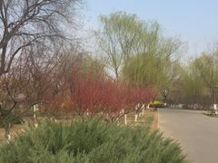 -永定河休闲森林公园