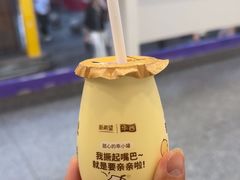 -一只酸奶牛(洪崖洞11楼店)