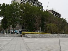 -仙人岛