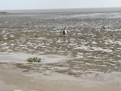 -奉贤海滩
