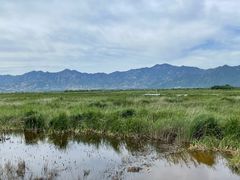 -野鸭湖国家湿地公园