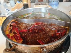 -菌子鲜汤野生菌锅