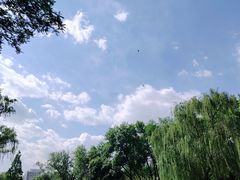 -元大都城垣遗址公园