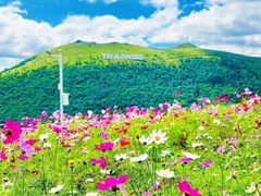 -太舞滑雪小镇
