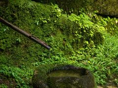 -大鄣山卧龙谷景区