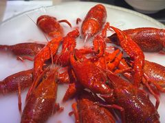 -红盔甲·小龙虾(车公庙店)