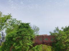 -武清南湖绿博园