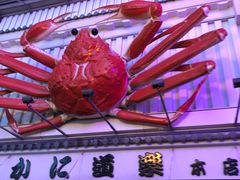 -蟹道乐(道顿堀本店)