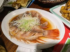 -七菜馆·东北菜·蒸饺(文体路店)