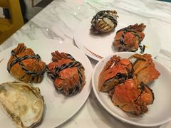 -张江海科雅乐轩聚聚乐
