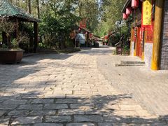 -合肥滨湖国家森林公园