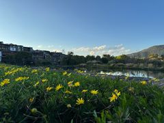 -和顺古镇