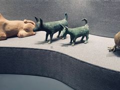 -广西壮族自治区博物馆
