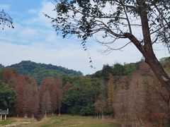 -广州市白云山风景名胜区