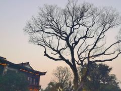 -杭州西湖柳莺里酒店