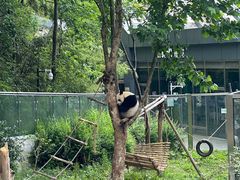 -黔灵山公园
