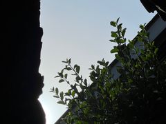 -恺庐茶园(宽窄巷子景区店)