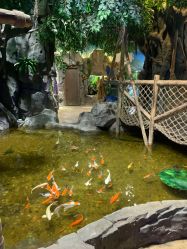 -宝燕乐园(闵行旗舰店)