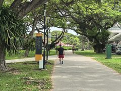 -东海岸人工湖美食村