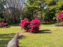 -二沙岛艺术公园