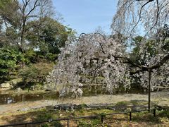 -京都御所