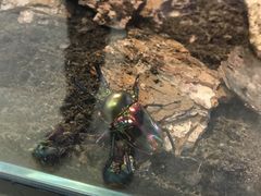 -燕莎友谊商城(亮马桥店)