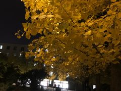 -东北大学(南湖校区)