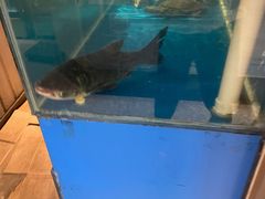 -小湘旺臭鳜鱼·新湘菜(马连道路店)